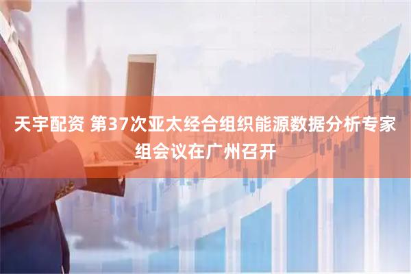 天宇配资 第37次亚太经合组织能源数据分析专家组会议在广州召开